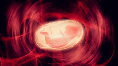 查孕妈血看宝宝性别主要看什么&卵巢有早衰能怀孕吗,2023年圣诞节出生的女