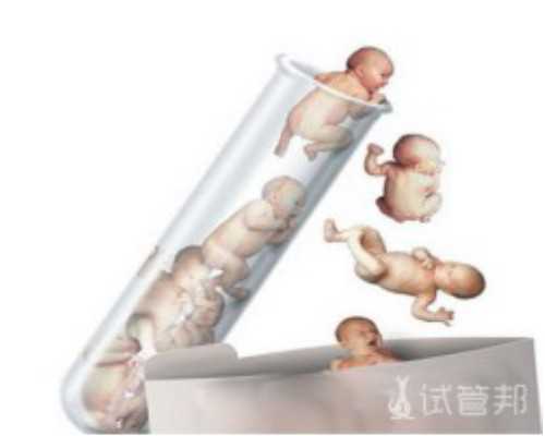 中国最大供卵库在哪里&最好代生网,幼稚子宫做供卵试管成功率高吗？该怎样提