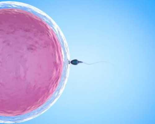 卵巢早衰成功怀孕的几率&代妈中介公司,2023年烟台有可以做供精供卵试管生男女