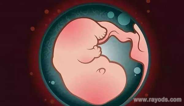郁南县53岁供卵试管的步骤和流程_试管婴儿技术生出来的宝宝畸形率会比正常生