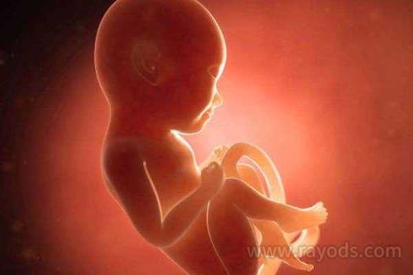 高台县代母移植流程_提高南宁三代试管婴儿胚胎成功率该怎么做？