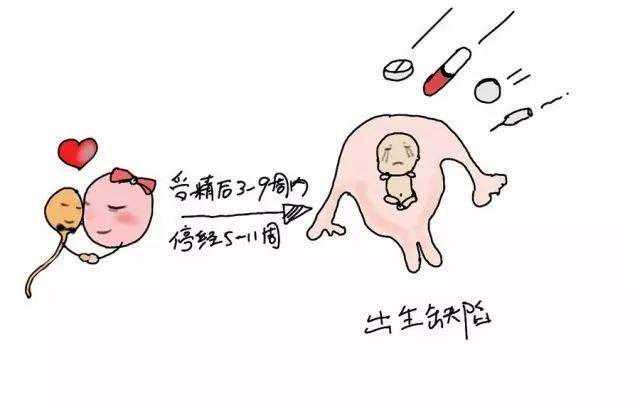 武汉代孕生儿子_武汉湘雅供卵多少钱一个_怀孕后这几周容易出现胎儿畸形，孕