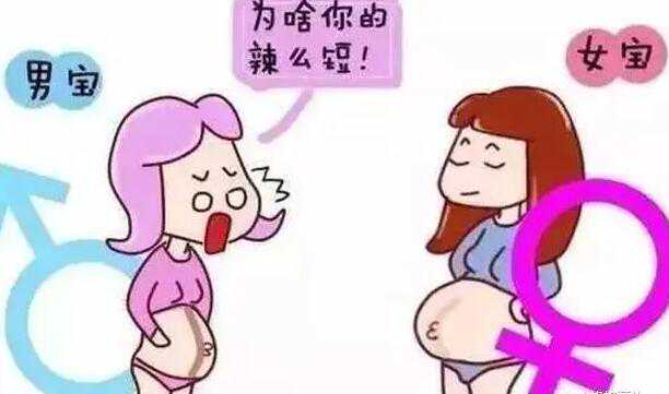 武汉在供卵试管中心 2022武汉市第一医院试管婴儿费用明细 ‘孕囊几周看男女最