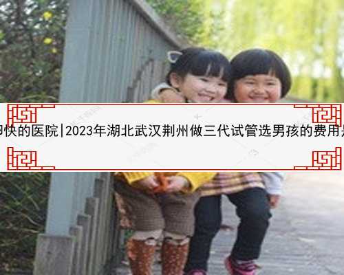 武汉供卵快的医院|2023年湖北武汉荆州做三代试管选男孩的费用是多少？